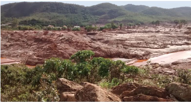 Arroz cultivado na lama da Samarco é mais pobre em nutrientes